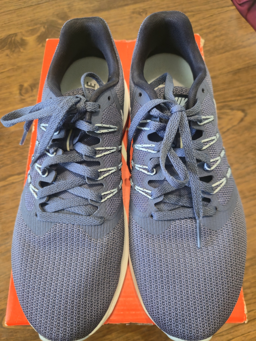 Nike Women’s Blue Lightweight Running Shoes